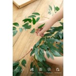 Ling's Moment Italian Ruscus Greenery, 5.9ft Artificial Silk Willow Leaf Garland, Fake Wispy Rustic Vine Stem Swag for Table Centerpieces Wedding Arch Decor, Dark Green