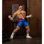 Jada Street Fighter II Sagat Deluxe 1:12 Scale Action Figure - Highly Articulated, Tiger Shot Accessory & Stand, 7.6" Tall